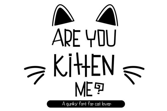 Are You Kitten Me: A Playful Display Font for Editorial Design