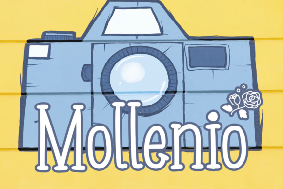 How Mollenio Transformed My Branding Project