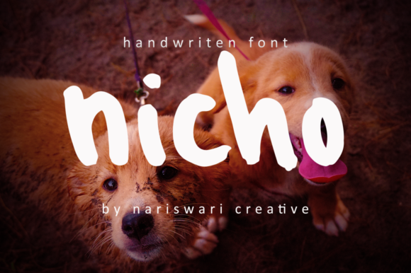 Nicho Font: A Handmade Creator's Typography Treasure